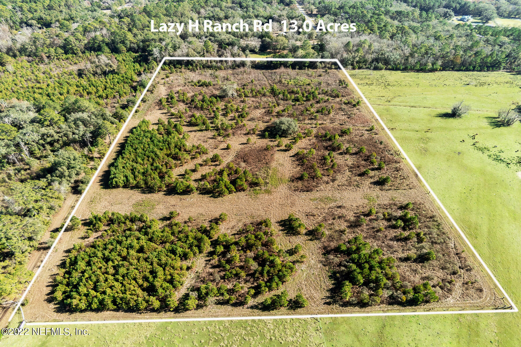 0 Lazy H Ranch Road Middleburg, FL 32068 - Photo 5 of 7 Looking East
