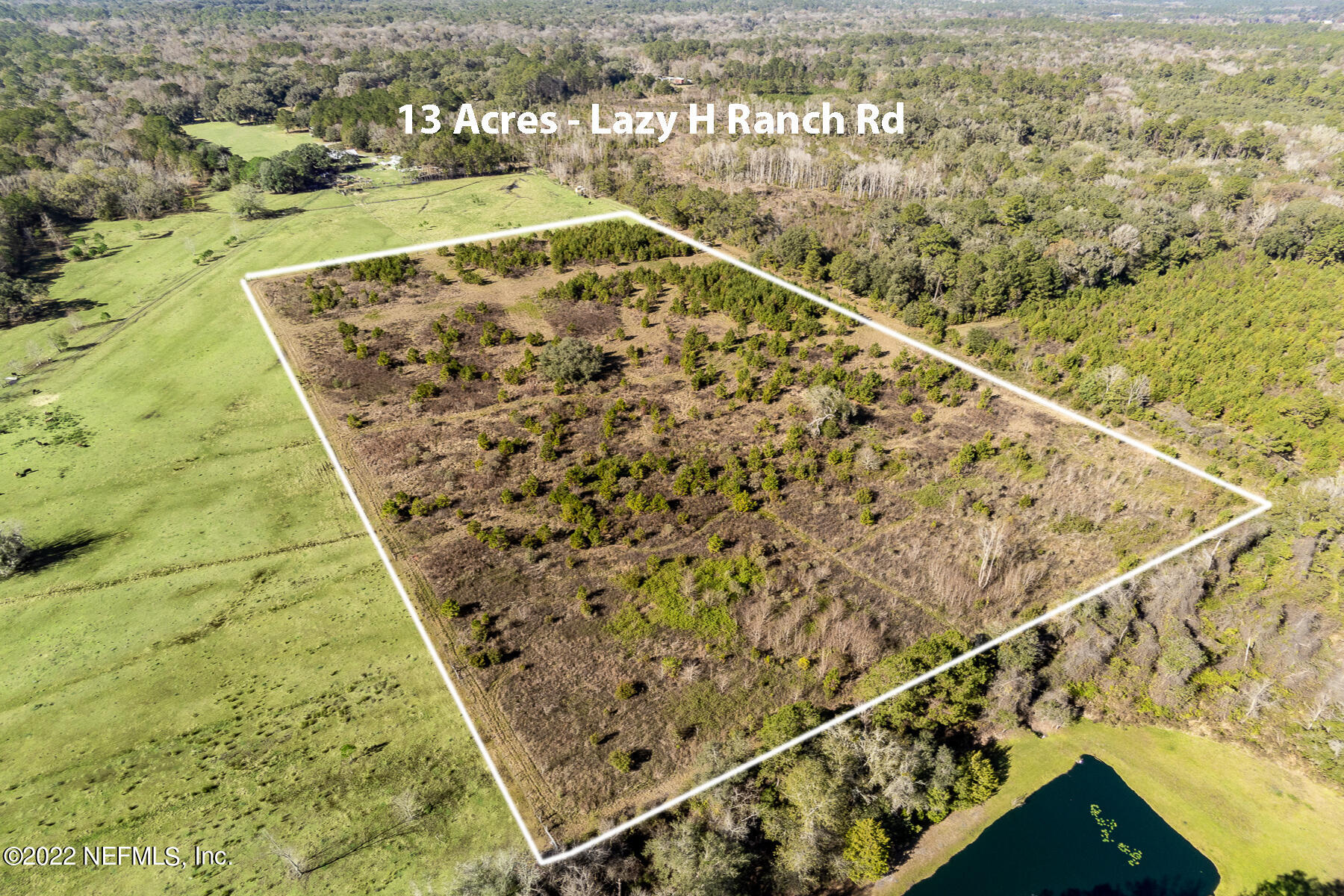 0 Lazy H Ranch Road Middleburg, FL 32068 - Photo 6 of 7 Looking North West