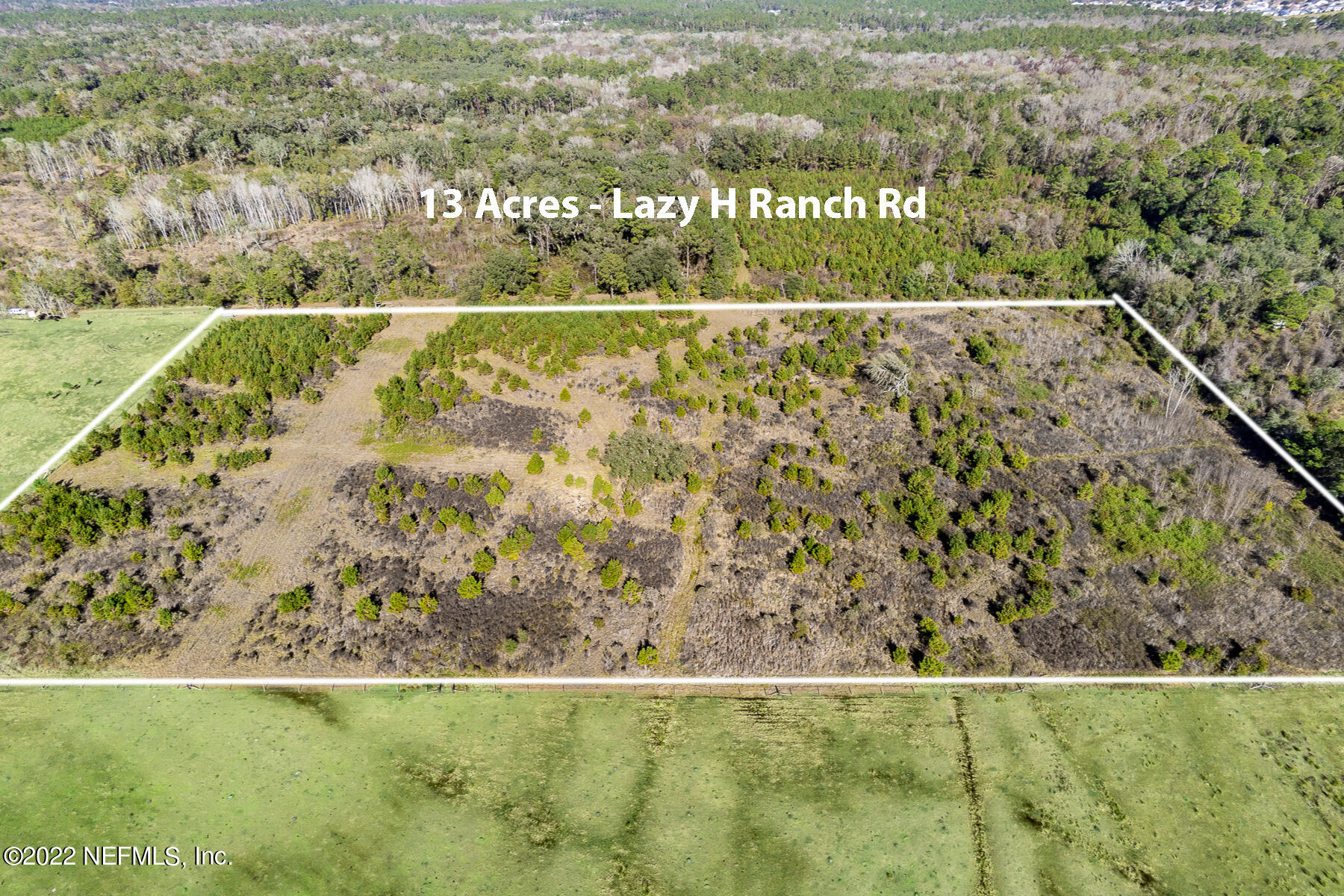 0 Lazy H Ranch Road Middleburg, FL 32068 - Photo 7 of 7 Looking North_
