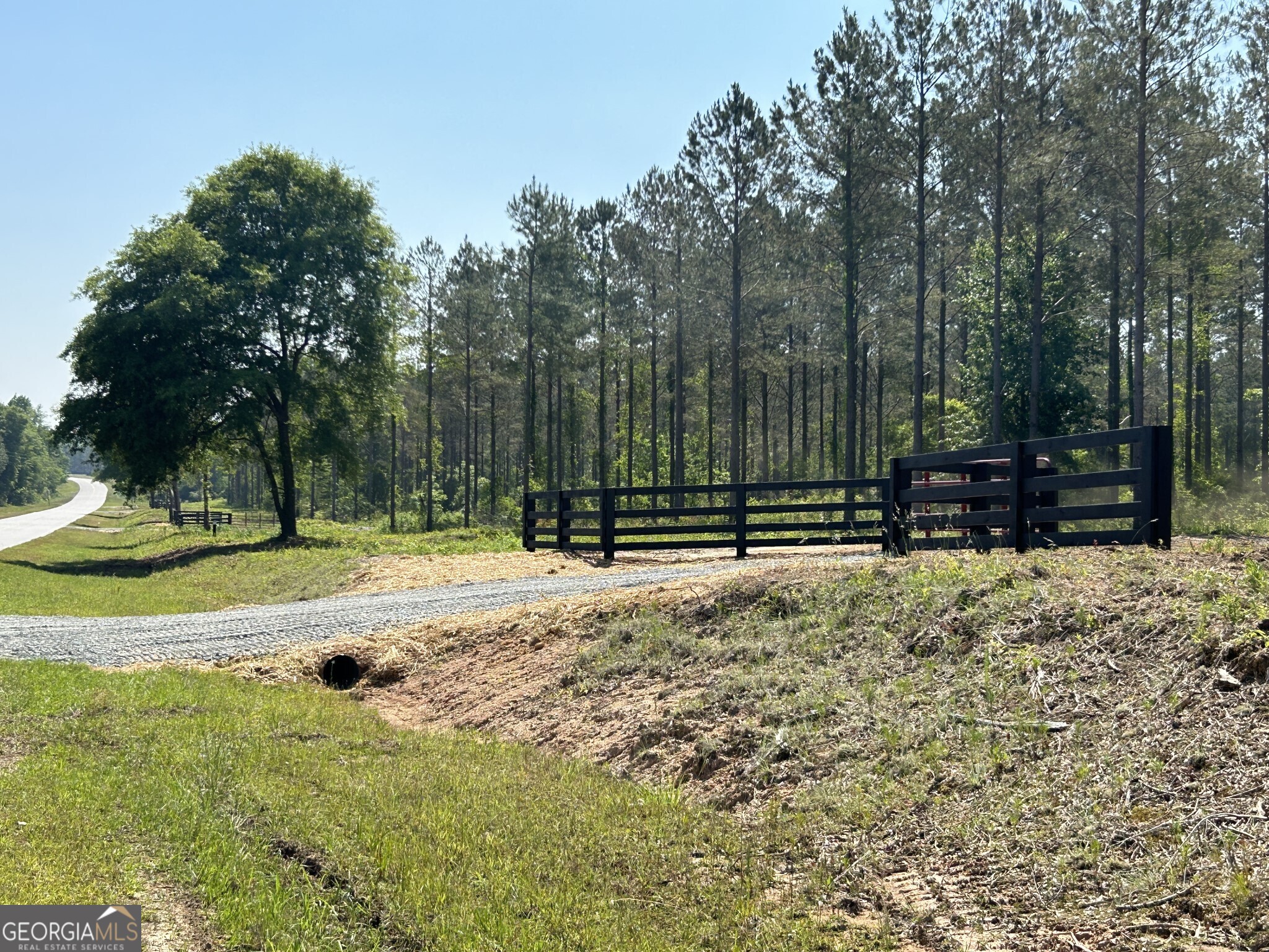 0 Springhaven Road, Unit LOT 19 Dexter, GA 31019 - Photo 1 of 16 a view of a backyard with trees