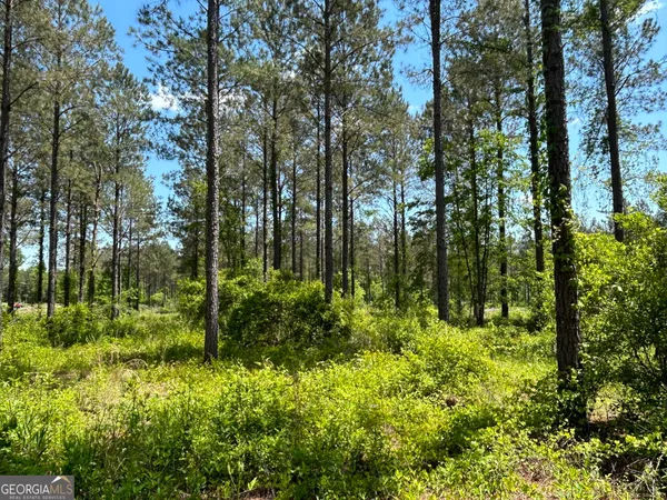 a view of outdoor space with trees