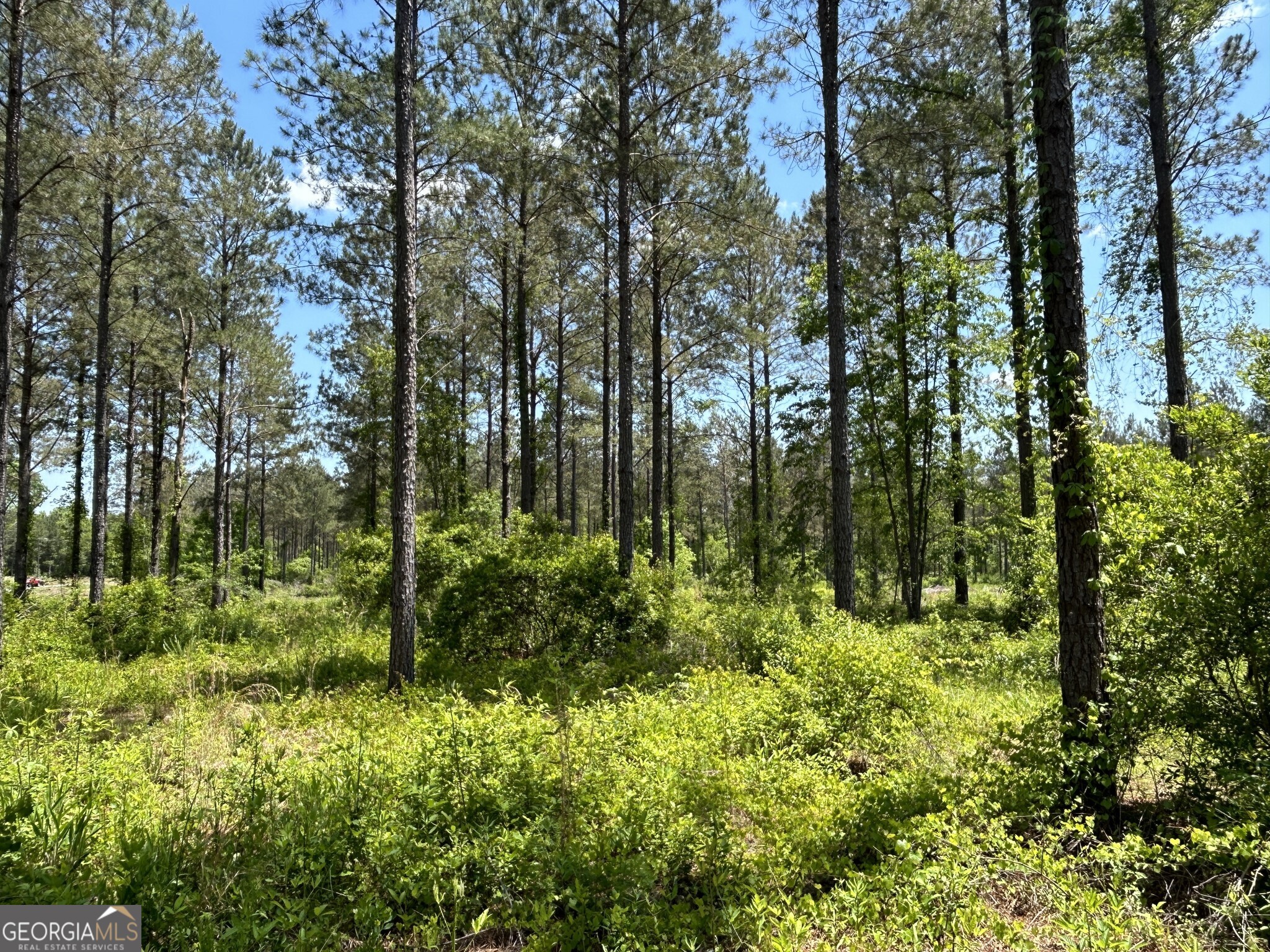 0 Springhaven Road, Unit LOT 19 Dexter, GA 31019 - Photo 12 of 16 a view of a garden