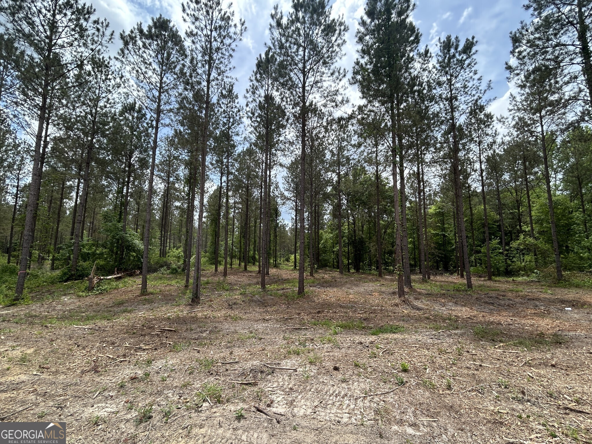 0 Springhaven Road, Unit LOT 19 Dexter, GA 31019 - Photo 14 of 16 a view of outdoor space with trees