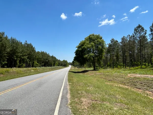 $145,000 | 0 Springhaven Road, Unit LOT 19, Dexter, GA 31019