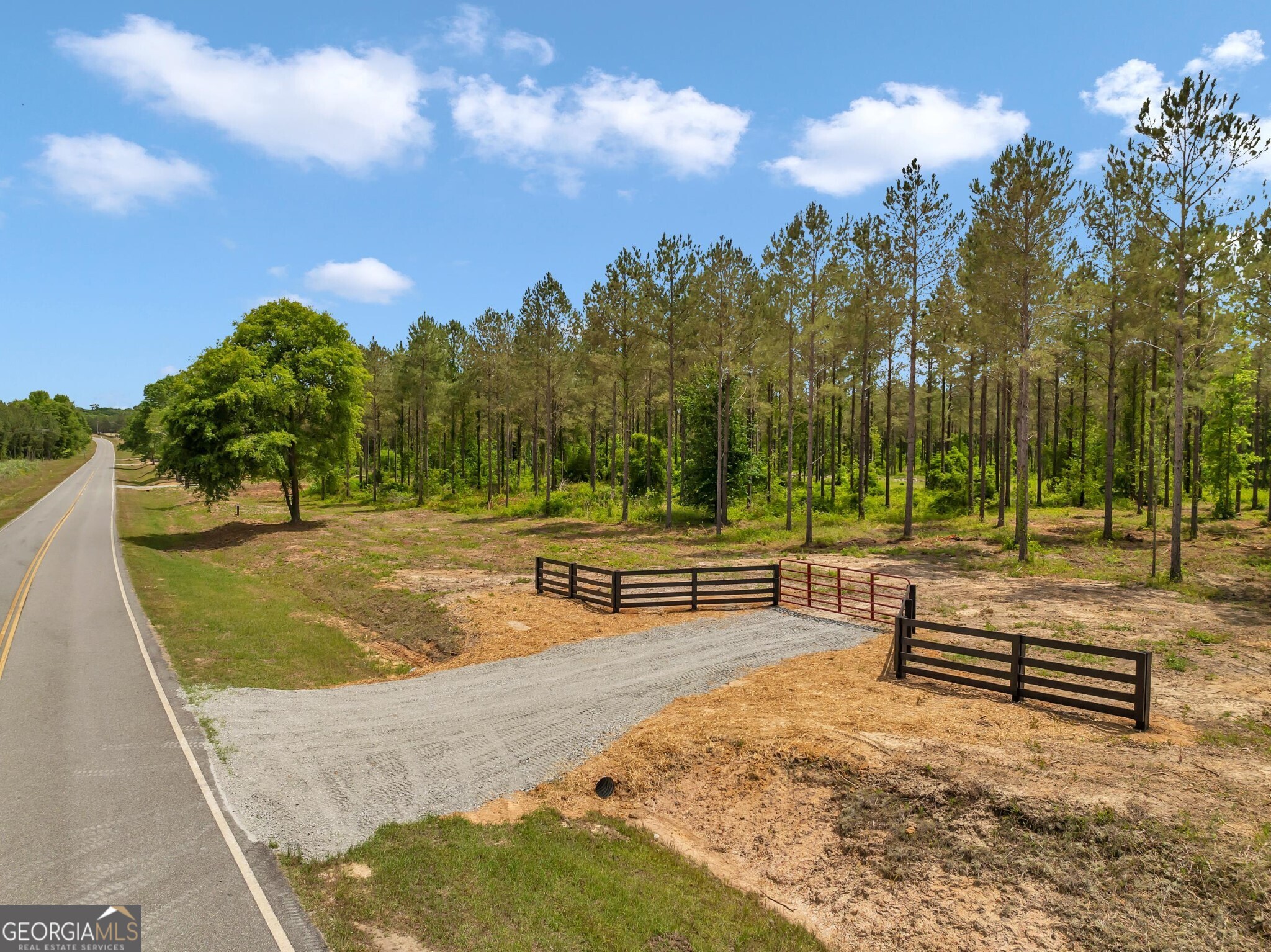 0 Springhaven Road, Unit LOT 19 Dexter, GA 31019 - Photo 5 of 16 a view of a park with large trees