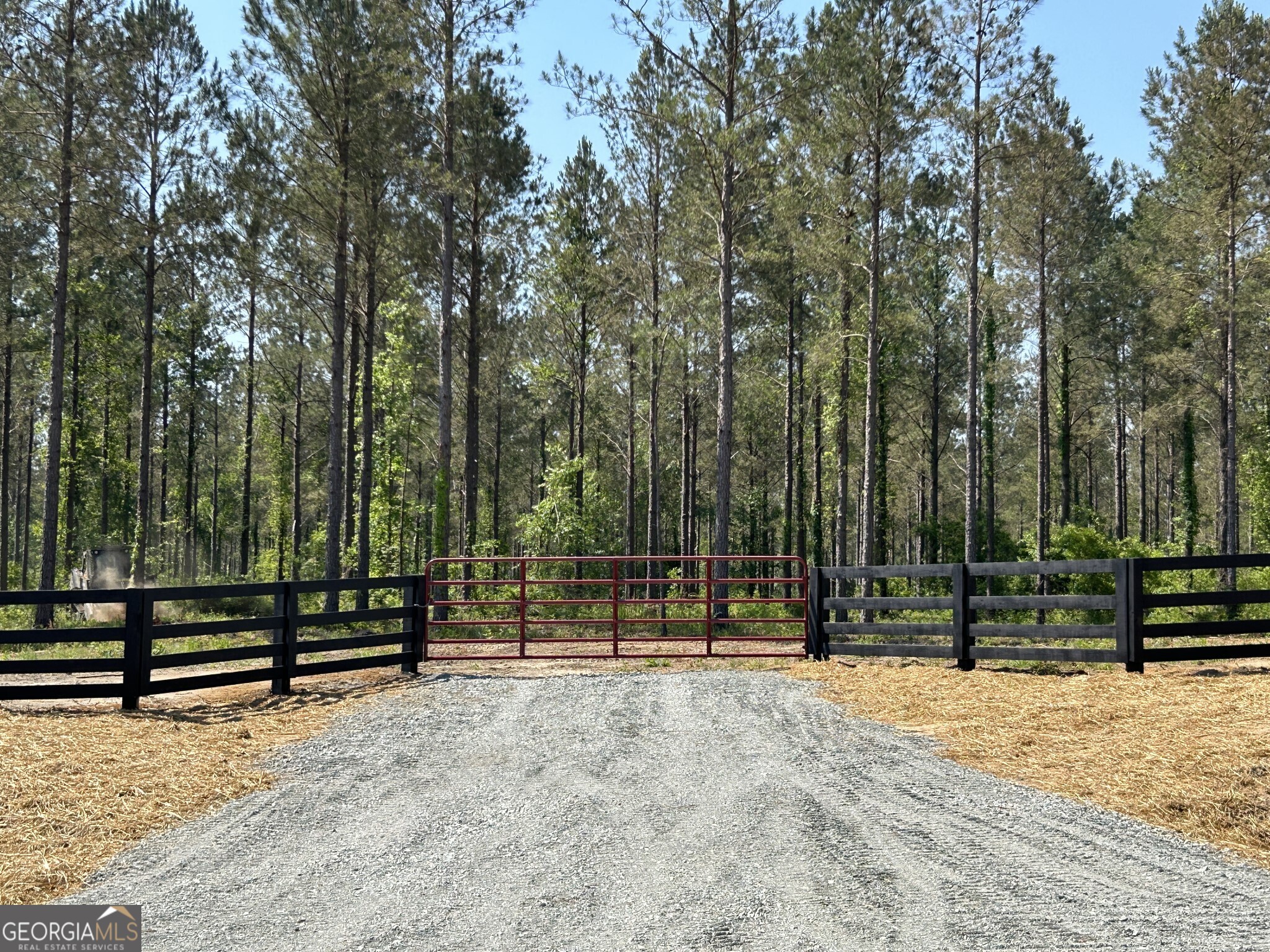0 Springhaven Road, Unit LOT 19 Dexter, GA 31019 - Photo 6 of 16 a view of park with iron fence