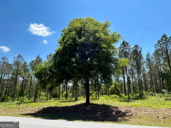 a view of a bench in a backyard