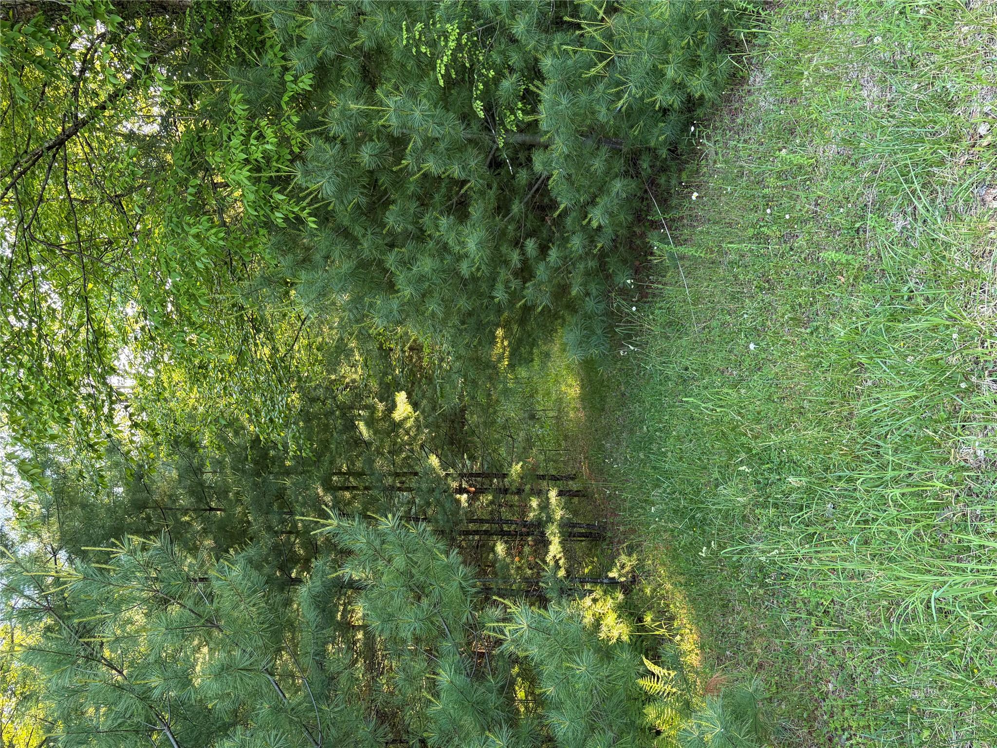 0 Moscoe Road Bethel, NY 12720 - Photo 12 of 33