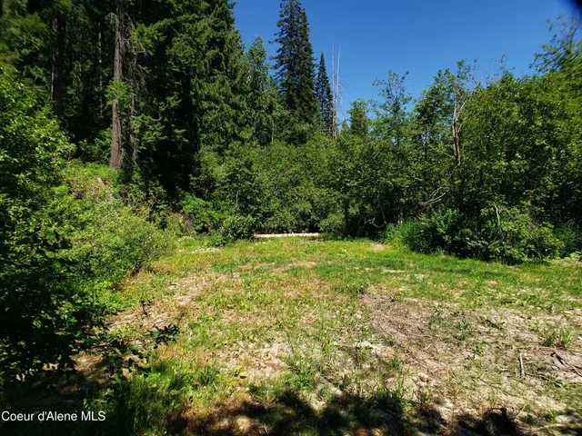 $850,000 | 1007 Ruby Creek Road, Naples, ID 83847