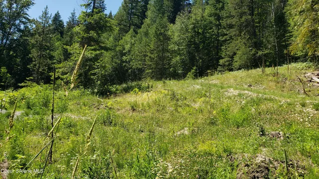 $850,000 | 1007 Ruby Creek Road, Naples, ID 83847