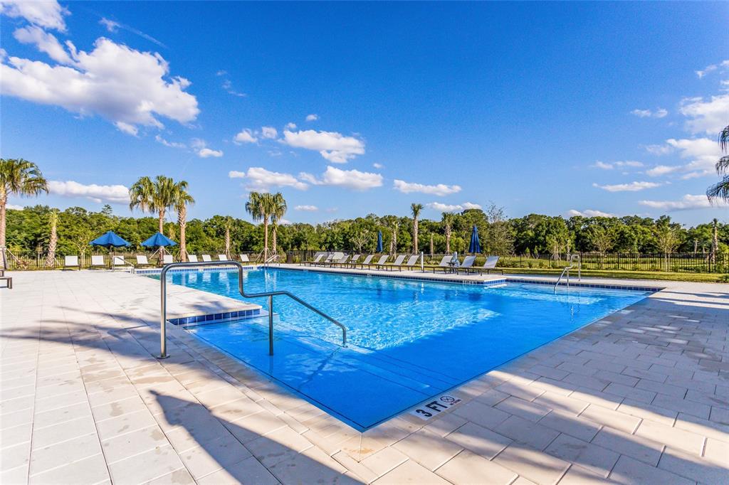 3533 Big Sky Way Lakewood Ranch, FL 34211 - Photo 80 of 85