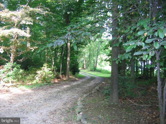 12510 Harford Road Hydes, MD 21082 - Photo 4 of 7 a view of a forest with trees