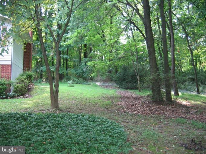 12510 Harford Road Hydes, MD 21082 - Photo 5 of 7 a view of a forest with trees in the background