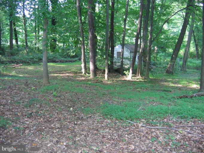 12510 Harford Road Hydes, MD 21082 - Photo 7 of 7 a view of a park that has large trees