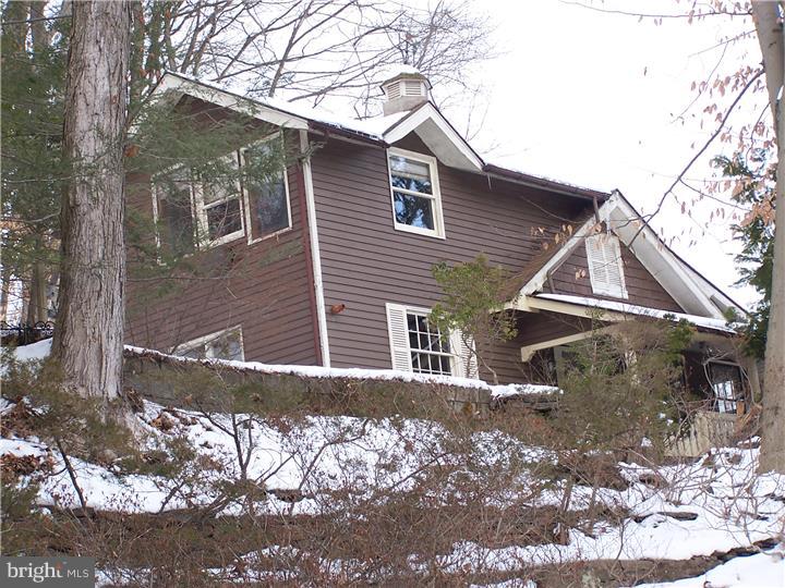 437 River Road Pipersville, PA 18947 - Photo 3 of 18 Exterior Side