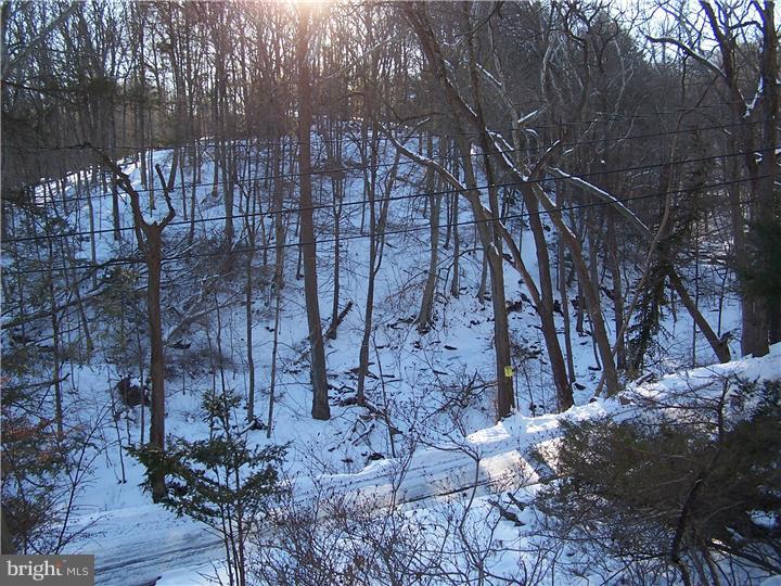 437 River Road Pipersville, PA 18947 - Photo 5 of 18 View from Front Door