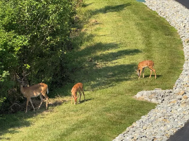 $335,000 | Undisclosed Address, Lawrenceburg, IN 47025