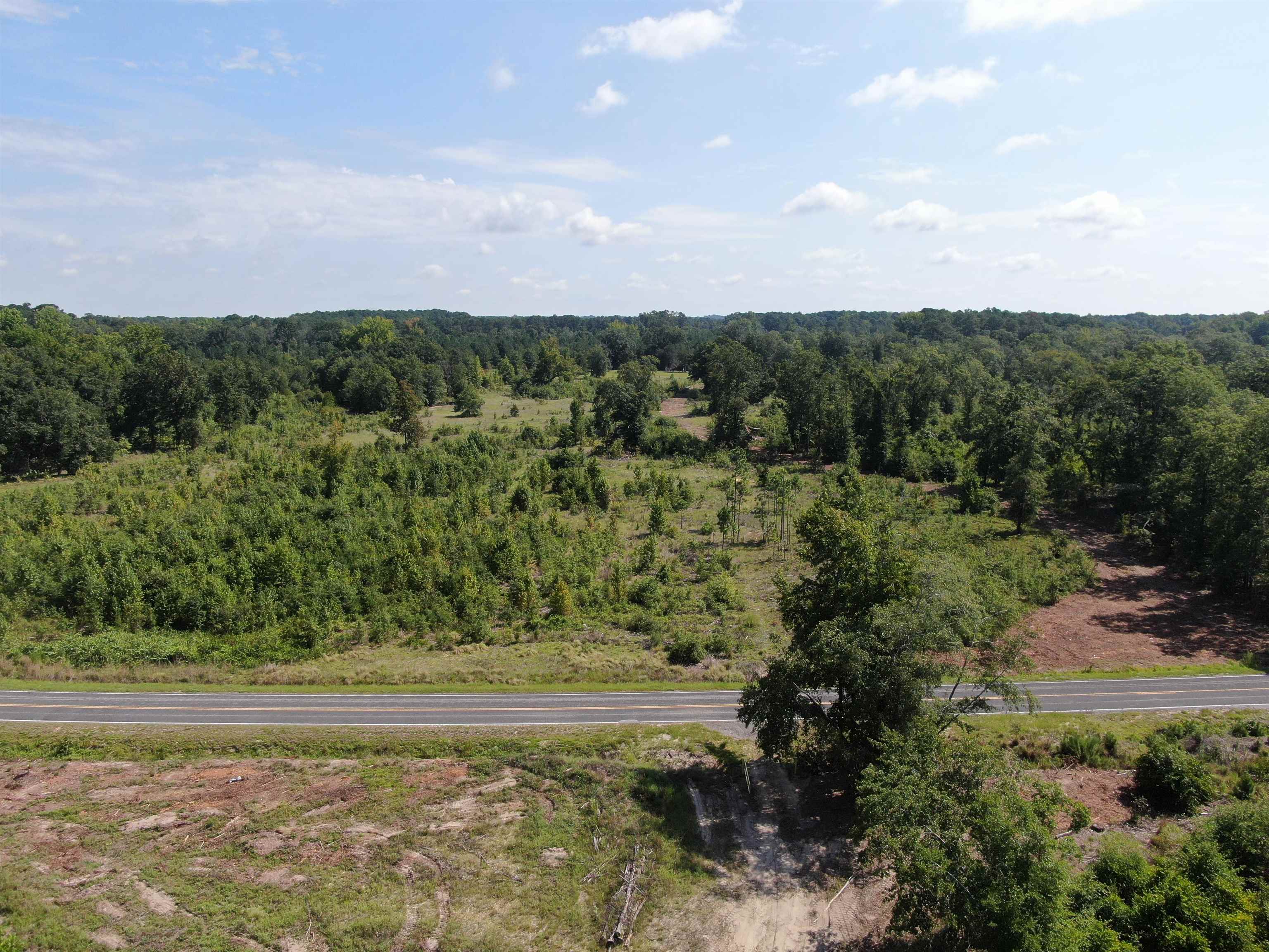 Tbd Mt Calvary Road Dillon, SC 29536 - Photo 3 of 26 Gallery Image 3