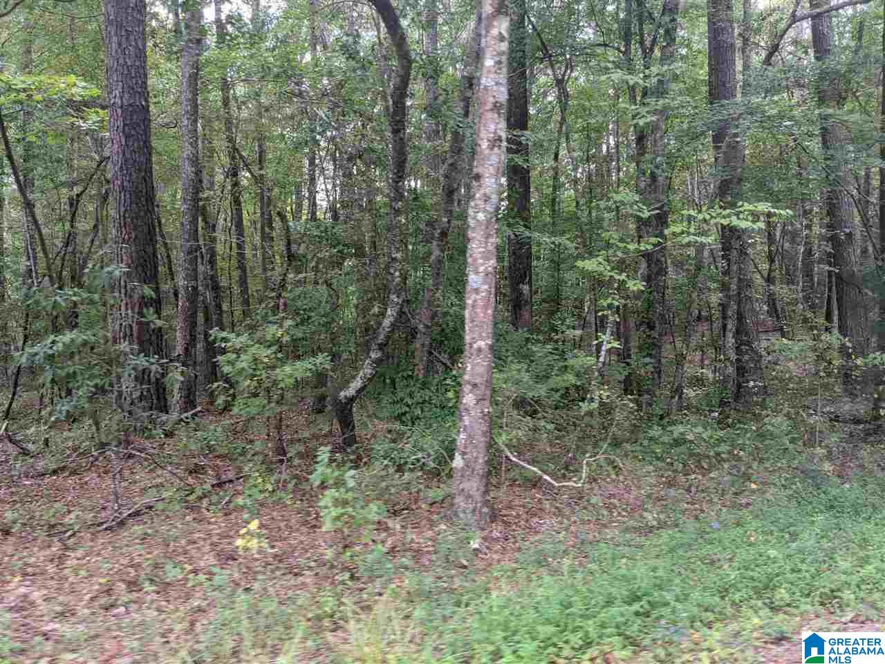 0 Smith Avenue, Unit 3 2 Anniston, AL 36207 - Photo 28 of 43