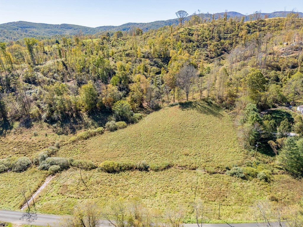 4-acres Carsonville Road Independence, VA 24348 - Photo 34 of 42 Gallery Image 34