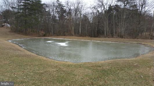 1332 Pious Ridge Road Berkeley Springs, WV 25411 - Photo 6 of 30 Pond
