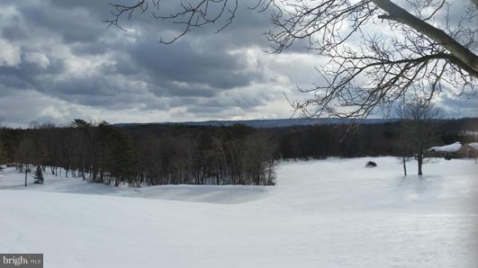 1332 Pious Ridge Road Berkeley Springs, WV 25411 - Photo 8 of 30 Snow View