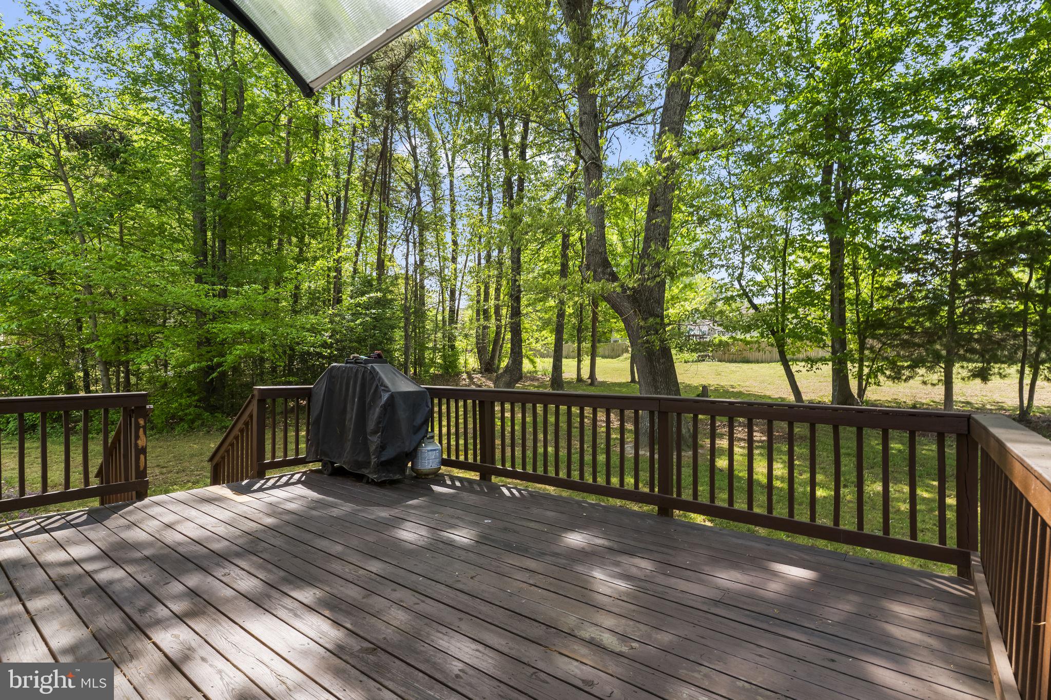 9533 Barbara's Way King George, VA 22485 - Photo 38 of 48