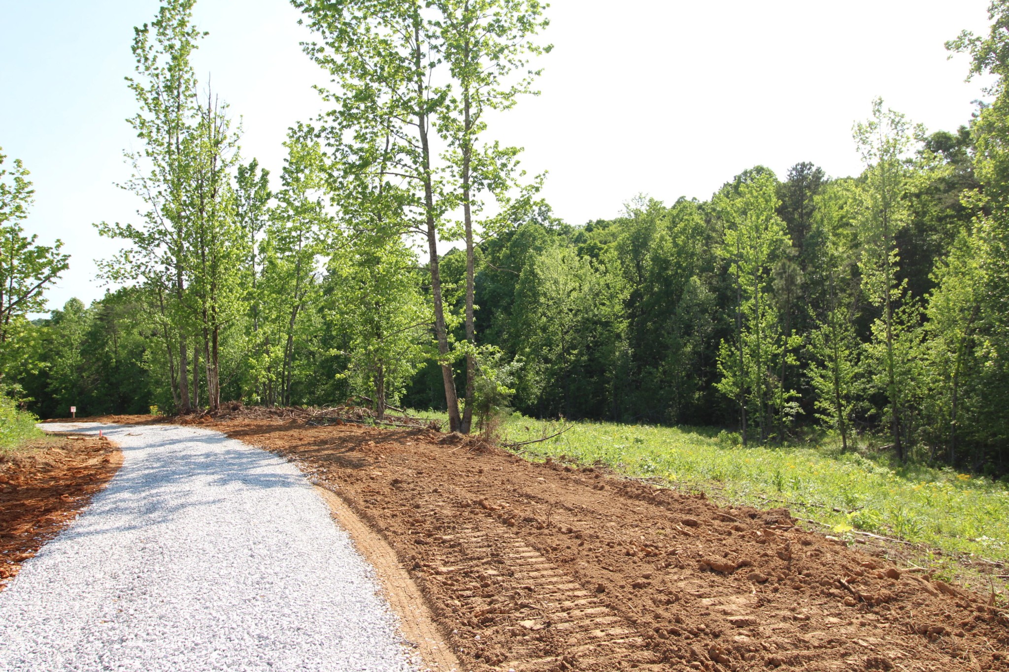 2 Dogtown Road Ten Mile, TN 37880 - Photo 6 of 33 Gallery Image 6