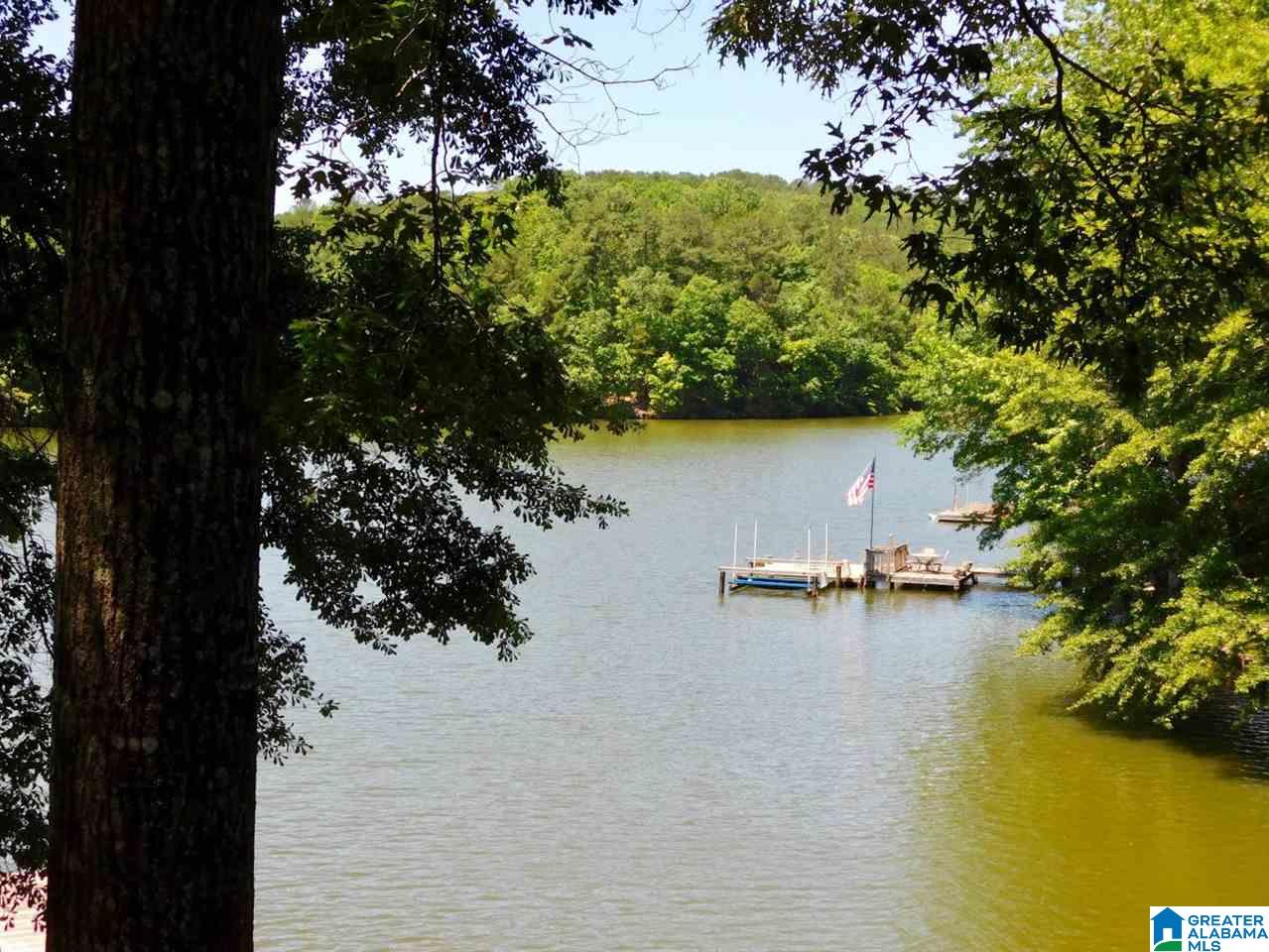 155 Deer Trace Alexander City, AL 35010 - Photo 4 of 49