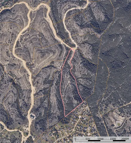 a view of a forest with a street