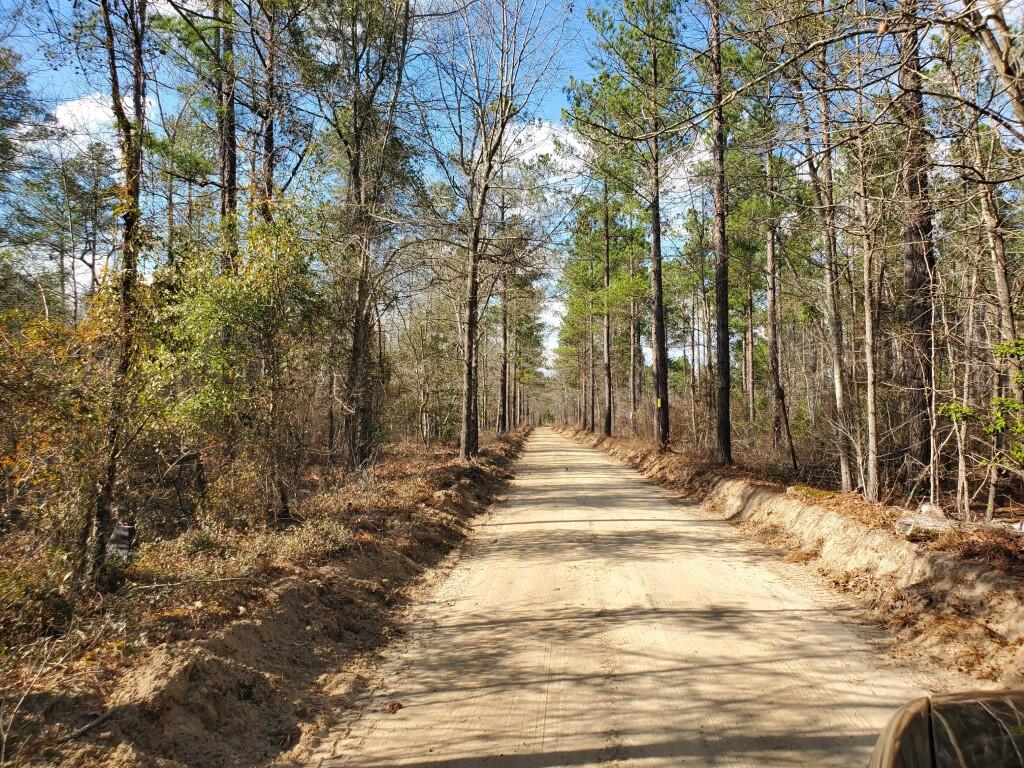 1 A Fox Young Road, Unit FYF 1A Wagener, SC 29164 - Photo 1 of 11 20220216_145527