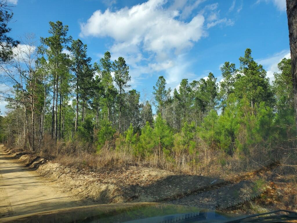 1 A Fox Young Road, Unit FYF 1A Wagener, SC 29164 - Photo 2 of 11 20220216_145620