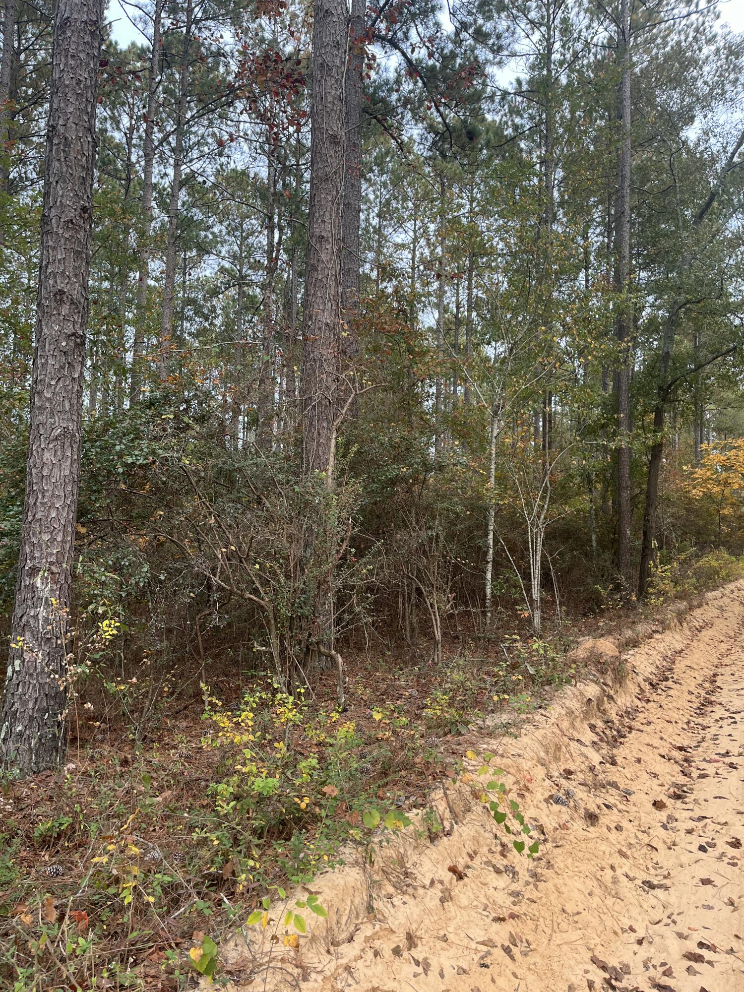 1 A Fox Young Road, Unit FYF 1A Wagener, SC 29164 - Photo 6 of 11 IMG_4770