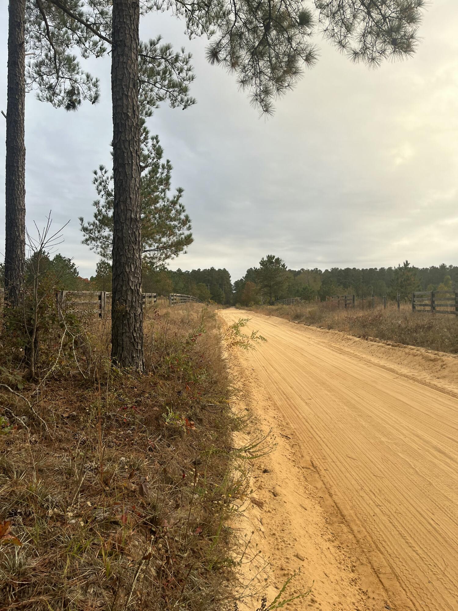 1 A Fox Young Road, Unit FYF 1A Wagener, SC 29164 - Photo 7 of 11 IMG_4773