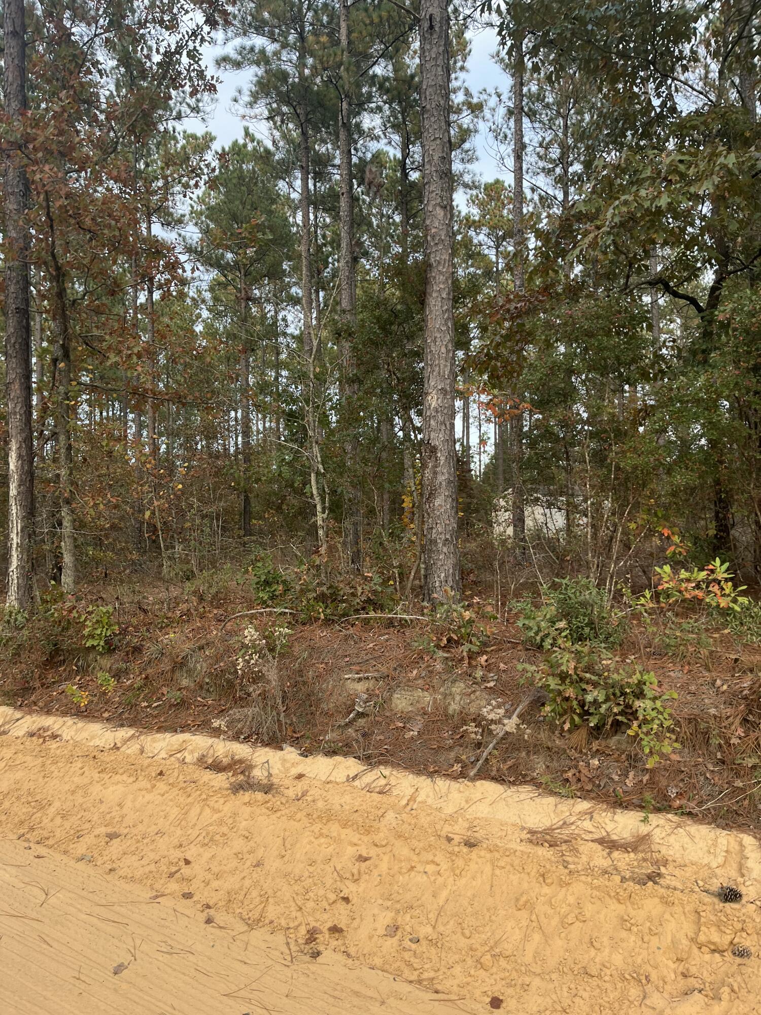 1 A Fox Young Road, Unit FYF 1A Wagener, SC 29164 - Photo 9 of 11 IMG_4783