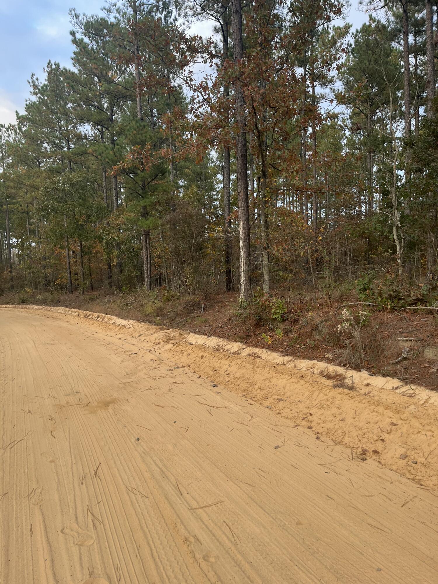 1 A Fox Young Road, Unit FYF 1A Wagener, SC 29164 - Photo 10 of 11 IMG_4784