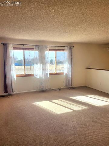 1215 Old Ranch Road Colorado Springs, CO 80920 - Photo 3 of 15 Unfurnished room with a textured ceiling, ceiling fan, a wealth of natural light, and carpet floors