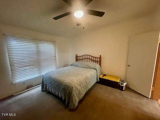 260 Hamilton Road Elizabethton, TN 37643 - Photo 16 of 31 IMG_2226