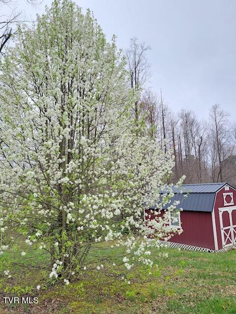 260 Hamilton Road Elizabethton, TN 37643 - Photo 28 of 31 Resized_Resized_20240323_153931