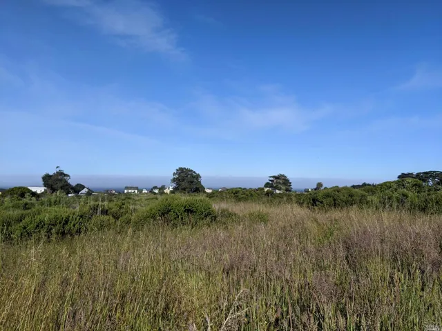 a view of a lake and green valley