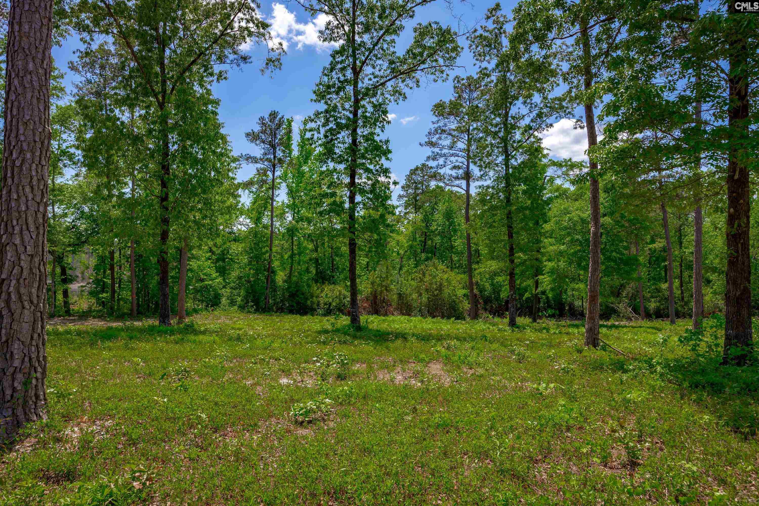 1626-01 Sumter Highway Rembert, SC 29128 - Photo 8 of 16