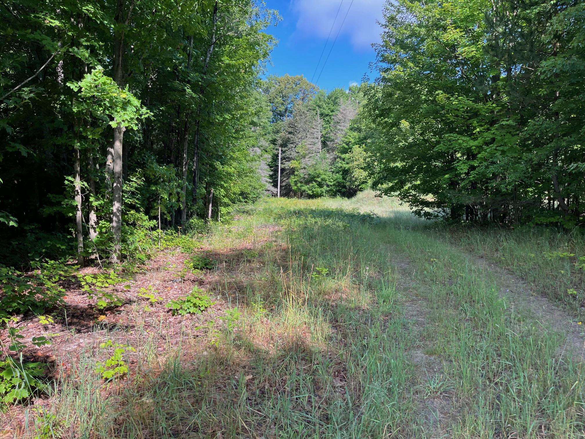 22296 Adams Road Copemish, MI 49625 - Photo 14 of 18