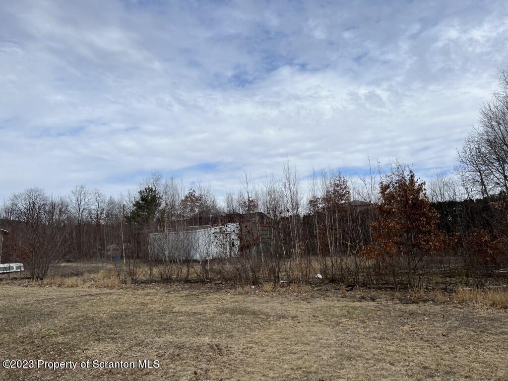 101 Buttonwood Street Jessup, PA 18434 - Photo 5 of 5 a view of a backyard