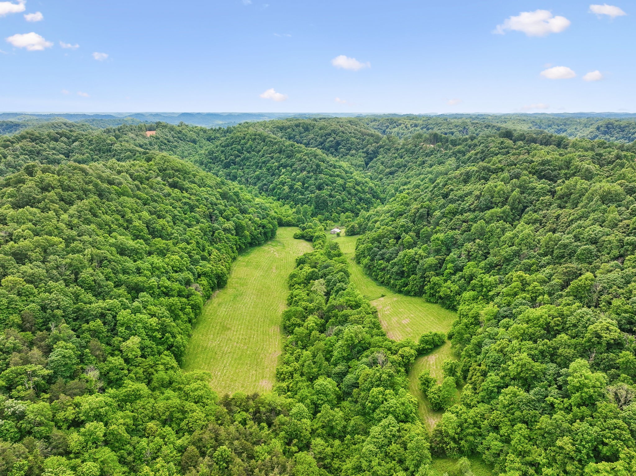 34 Friendship Hollow Road Pleasant Shade, TN 37145 - Photo 33 of 40 Gallery Image 33