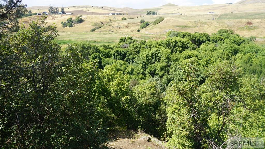 3436 East Cub River Road Preston, ID 83263 - Photo 14 of 15