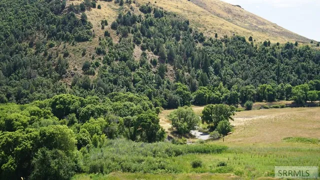 $1,100,000 | 3436 East Cub River Road, Preston, ID 83263