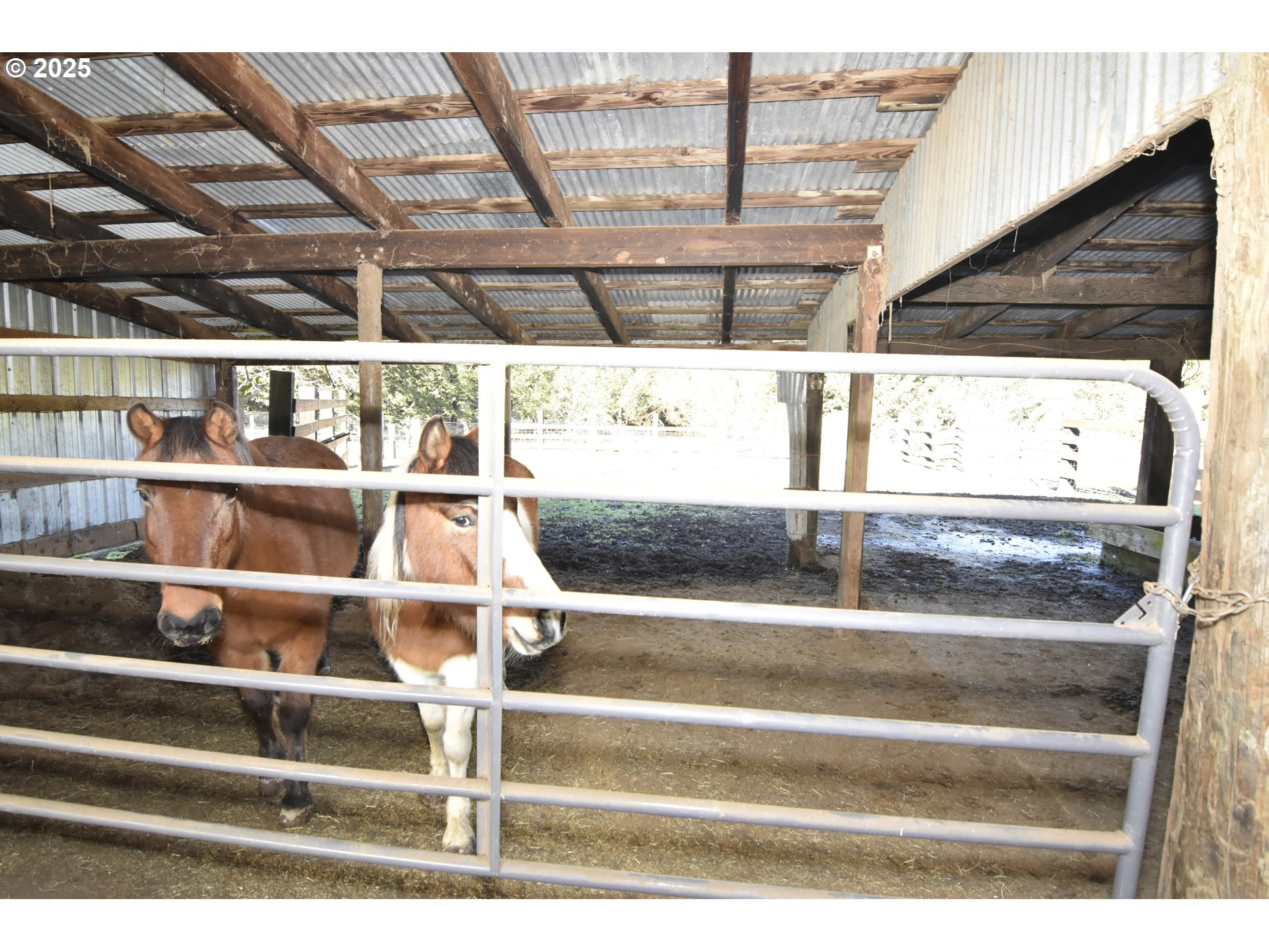 25745 Jeans Road Veneta, OR 97487 - Photo 32 of 42 Barn