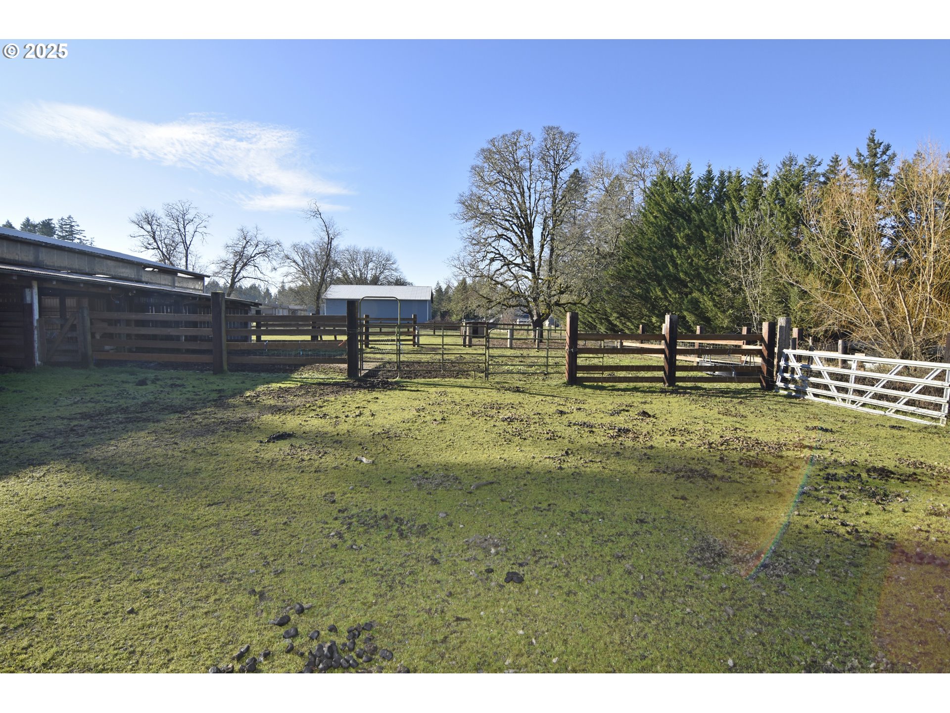 25745 Jeans Road Veneta, OR 97487 - Photo 34 of 42 Acreage