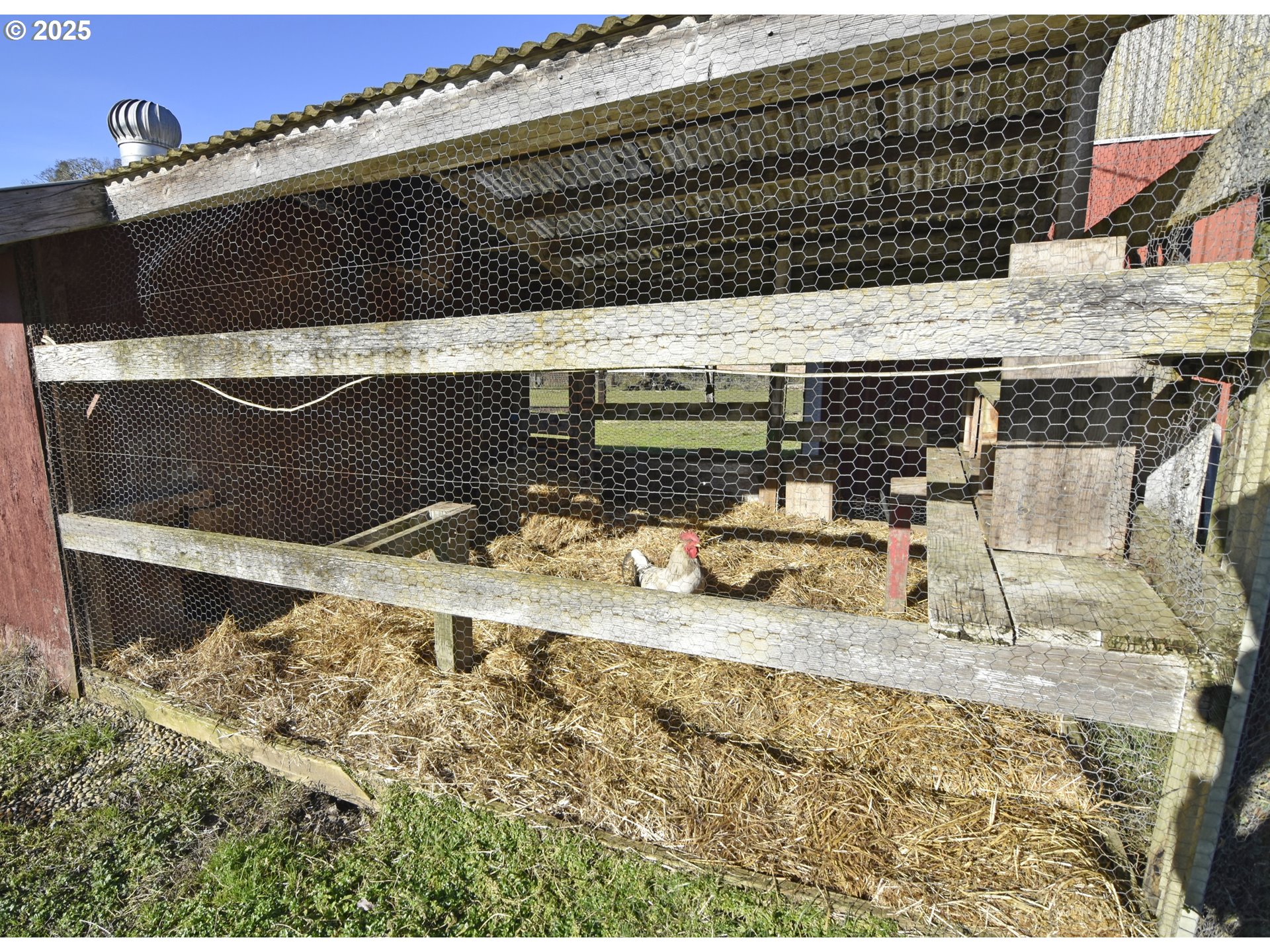 25745 Jeans Road Veneta, OR 97487 - Photo 40 of 42