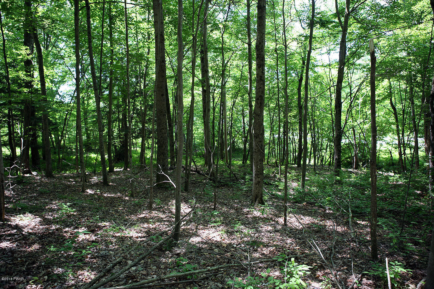 0 Callicoon Road Damascus, PA 18415 - Photo 9 of 20 07 02 18 139 - Copy